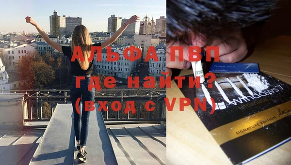стафф Белоозёрский