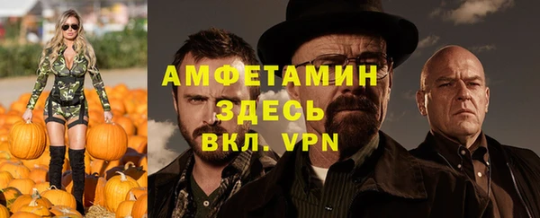 молекула духа Белокуриха