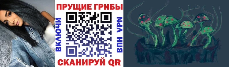купить наркотики цена  ссылка на мегу   Псилоцибиновые грибы мицелий  Будённовск 